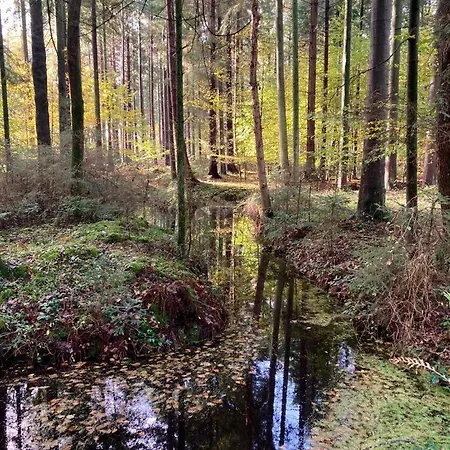 Апартаменты Vier Jahreszeiten Pilsum