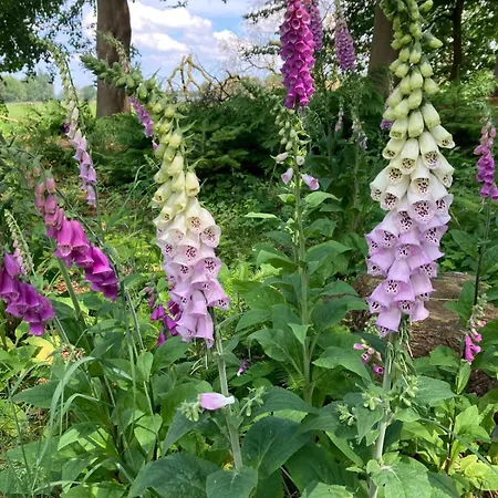 Appartement Vier Jahreszeiten Pilsum *