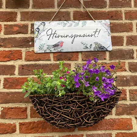 Vier Jahreszeiten Pilsum Apartment