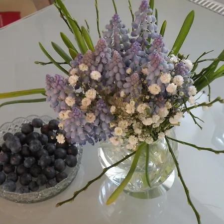 Vier Jahreszeiten Pilsum Appartement