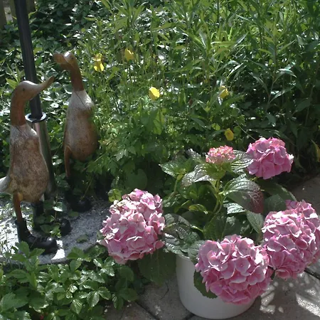 公寓 Vier Jahreszeiten Pilsum