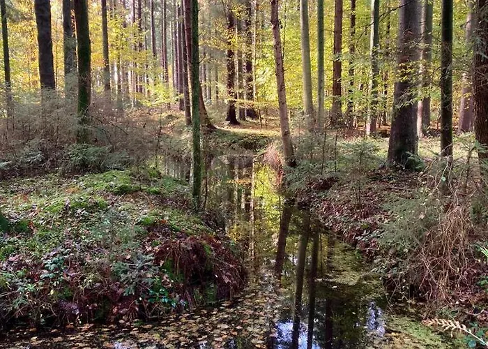 公寓 Vier Jahreszeiten Pilsum