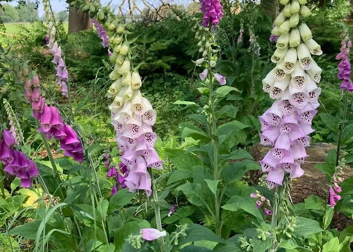 Apartament Vier Jahreszeiten Pilsum *