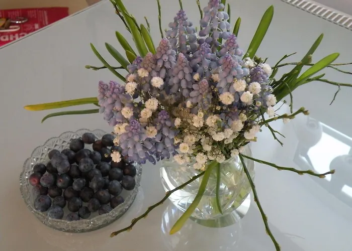 Vier Jahreszeiten Pilsum Apartament